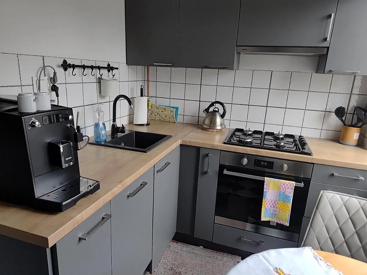 Wygodny Apartament W Srodmiesciu Gdanska Polonia
